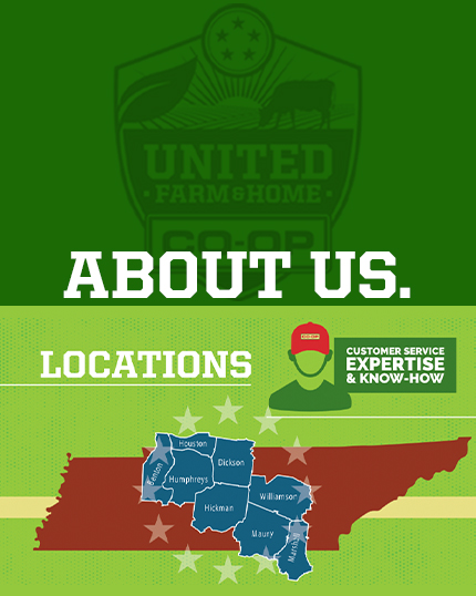 about us
