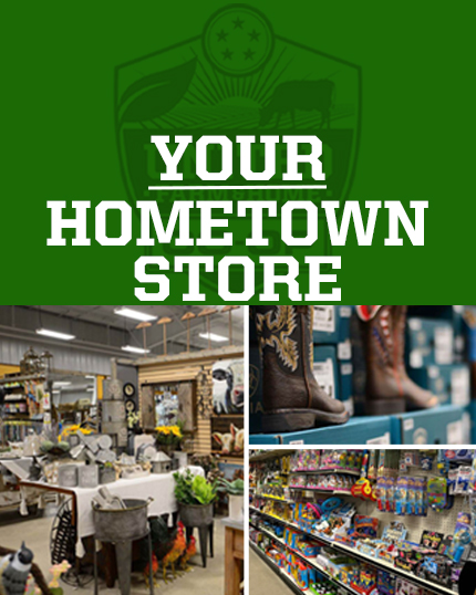hometown store